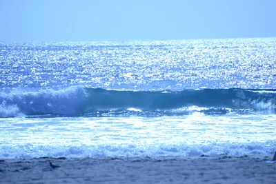 DSC_5001 (Large).JPG